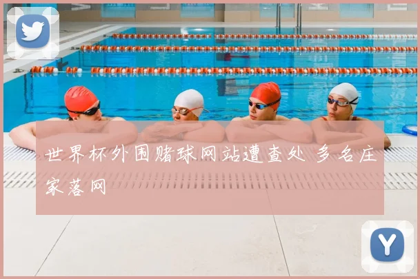 世界杯外围赌球网站遭查处 多名庄家落网