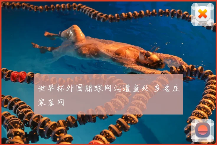 世界杯外围赌球网站遭查处 多名庄家落网